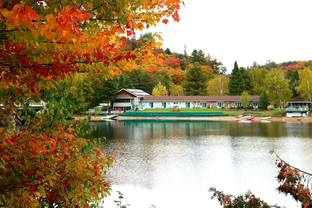 Algonquin Lakeside Inn Dwight Bagian luar foto